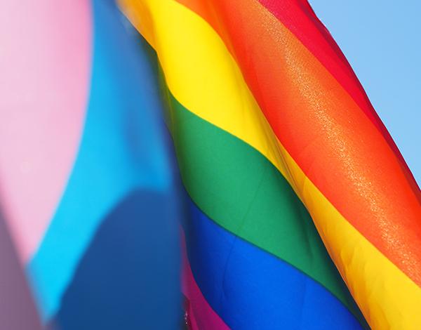 /_resources/images/studentservices/lgbtq/pride-flags-600x470.jpg